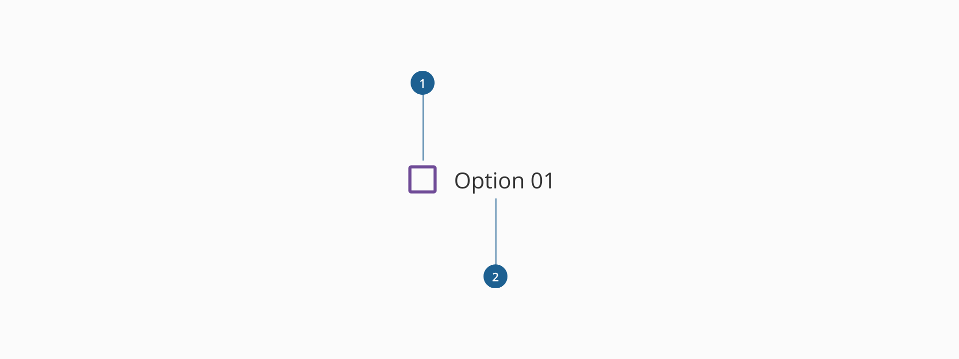 Checkbox anatomy