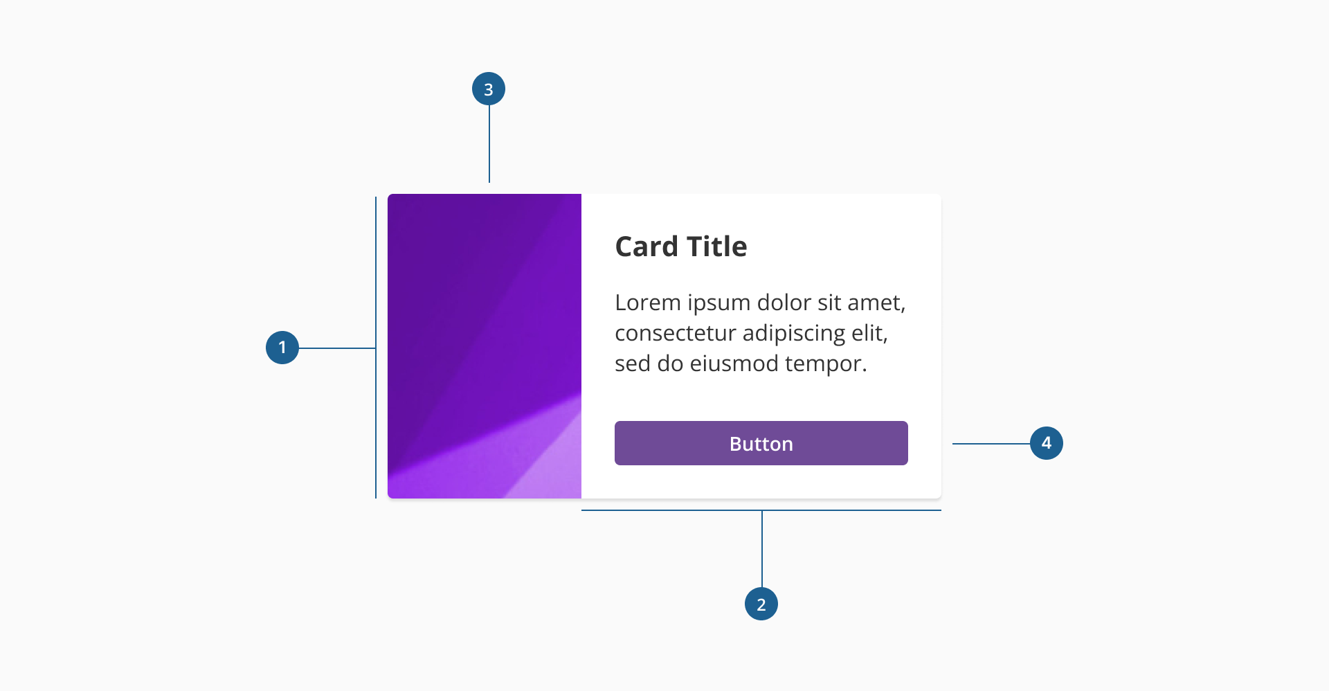 Card anatomy