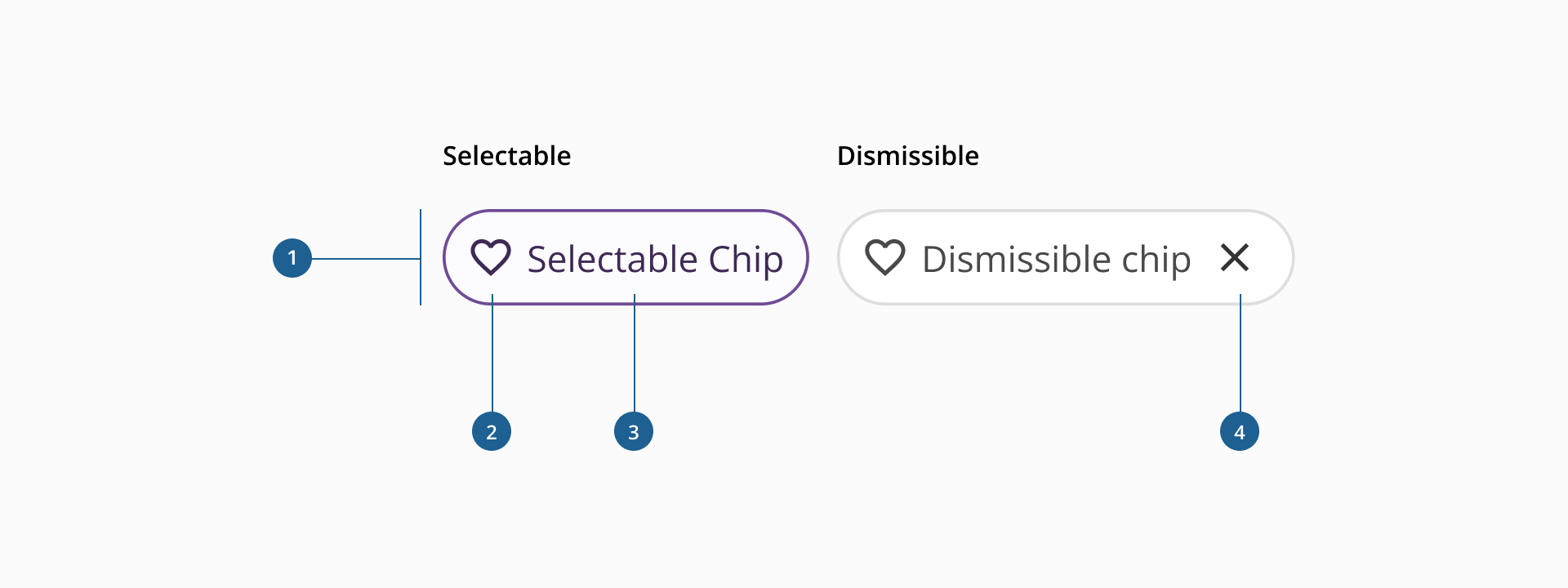 Chip anatomy