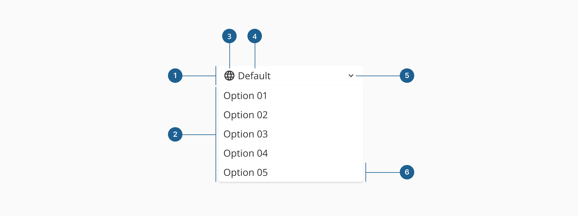 Dropdown anatomy